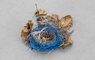 Nest